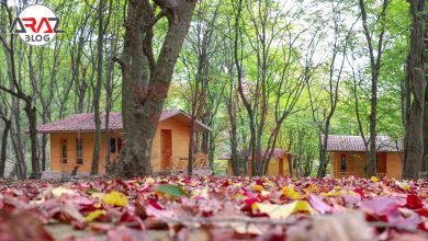 پارک جنگلی تلار