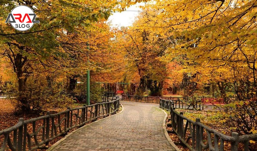 مسیر دسترسی به پارک جنگلی تلار