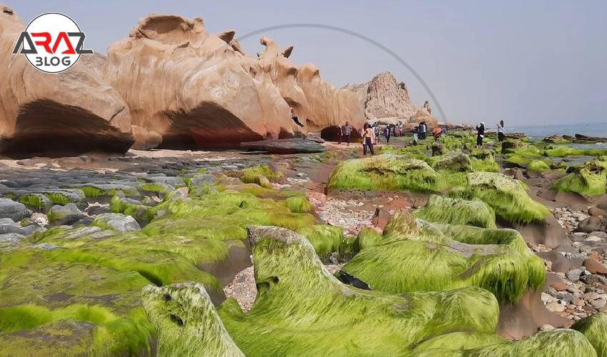 ساحل مکسر کجاست ؟ 2 ویژگیهای منحصربهفرد ساحل مکسر