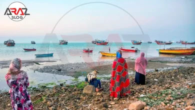 جزیره شیف کجاست ؟