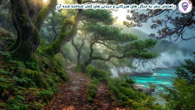 کشف جنگل های هیرکانی: راهنمای سفر به بکرترین طبیعت ایران 3 راهنمای سفر به جنگل های هیرکانی و دیدنی های کمتر شناخته شده آن