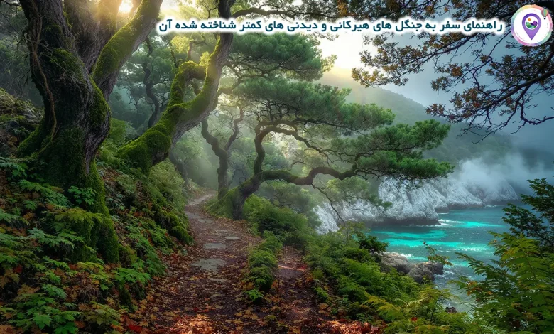 راهنمای سفر به جنگل های هیرکانی و دیدنی های کمتر شناخته شده آن