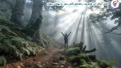 کشف جنگل ابر شاهرود، راهنمای کامل سفر به بهشت پنهان 4 کشف جنگل ابر شاهرود، راهنمای کامل سفر به بهشت پنهان