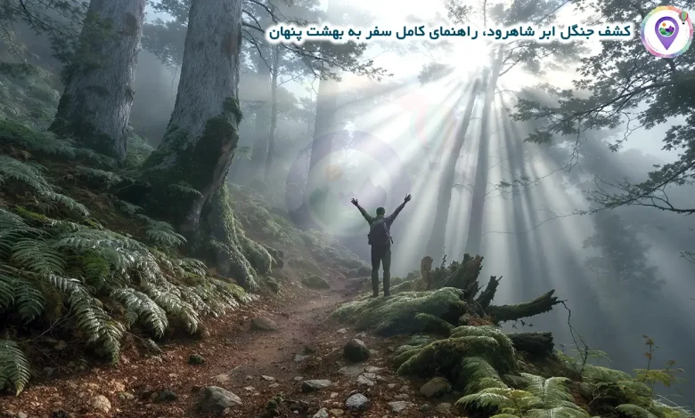 کشف جنگل ابر شاهرود، راهنمای کامل سفر به بهشت پنهان
